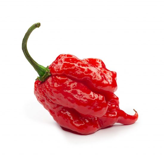 Carolina Reaper per 100g